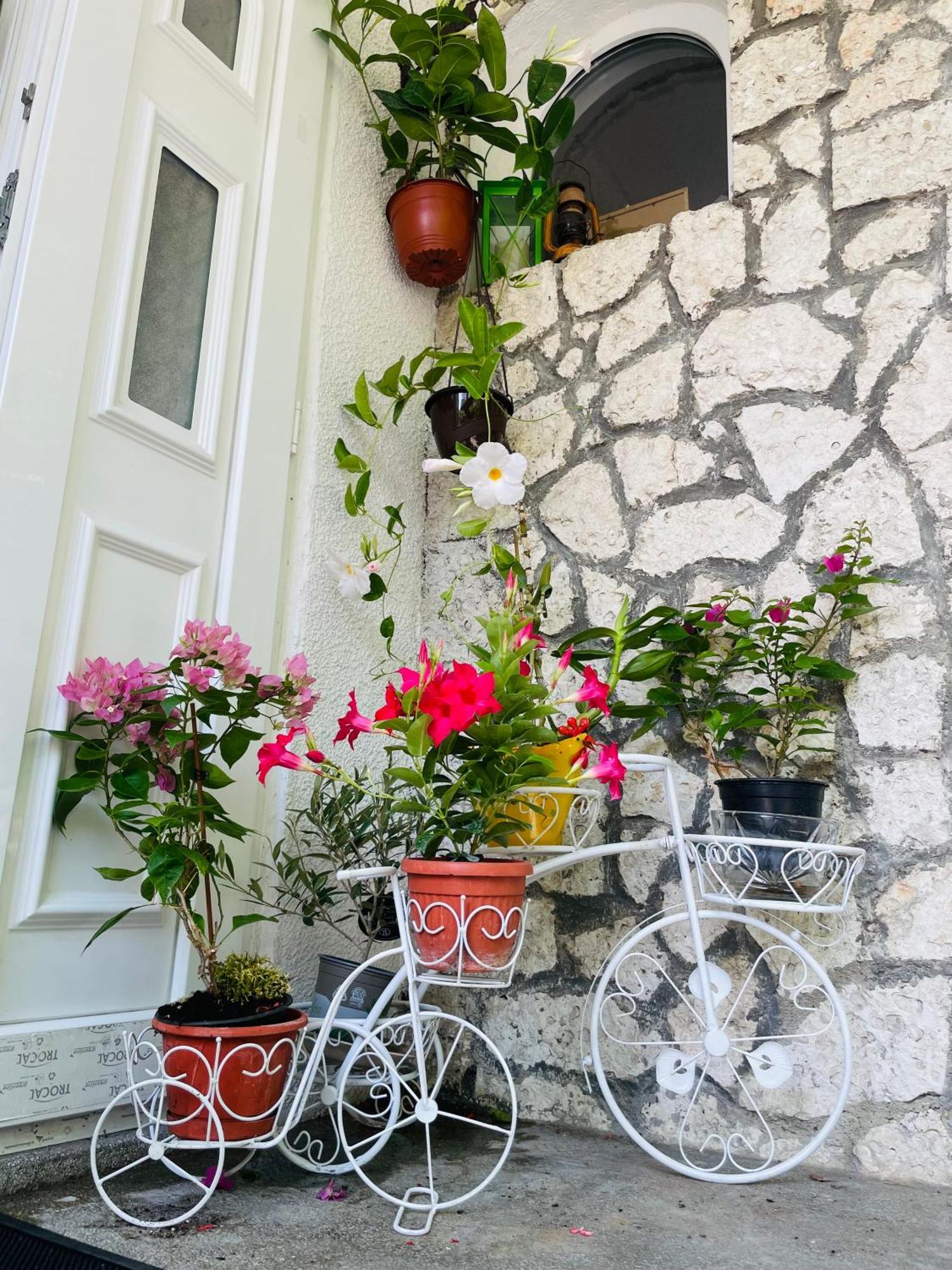 Guest House Blago Варна Екстер'єр фото